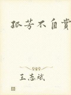 孤芳不自赏小说封面