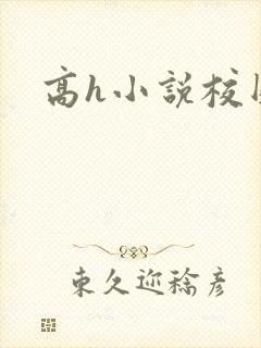 高h小说校园