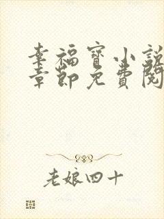 幸福宝小说最新章节免费阅读封面