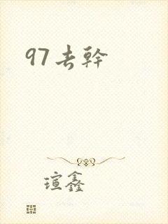 97去干封面