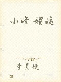小峰 媚姨封面