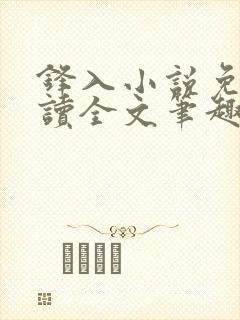 锋入小说免费阅读全文笔趣阁