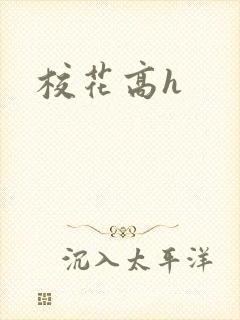 校花高h