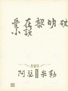 爱在黎明破晓前小说