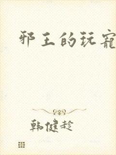 邪王的玩宠