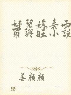 好儿媳秦雨罗明罗兴旺小说