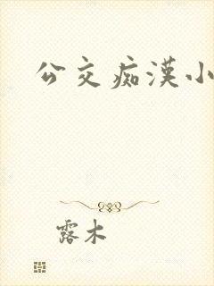公交痴汉小说