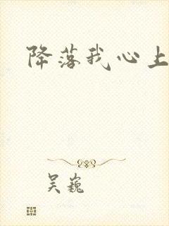 降落我心上