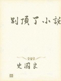别顶了小说