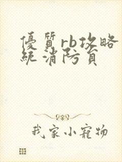 优质rb攻略系统消防员封面
