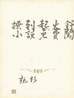 撩到起火舒漾的小说免费阅读全文