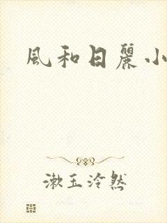 风和日丽小说