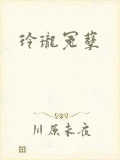 玲珑冤孽封面