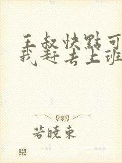 王叔快点可以吗我赶去上班
