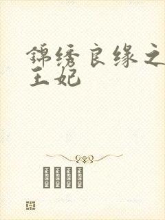 锦绣良缘之北地王妃