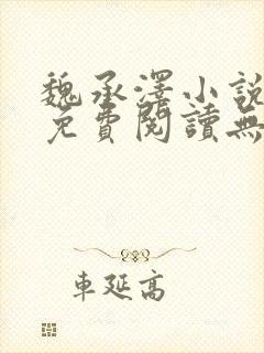魏承泽小说全文免费阅读无弹窗笔趣