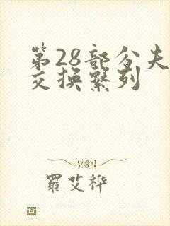 第28部分夫妇交换系列封面