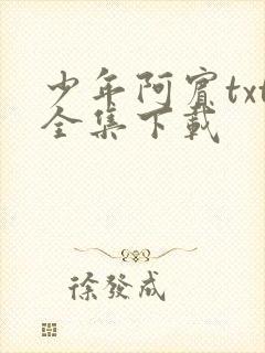 少年阿宾txt全集下载