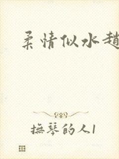 柔情似水赵雅儿封面