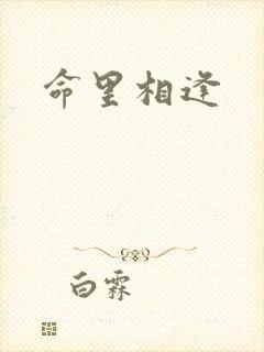 命里相逢封面