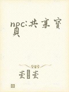 npc:共享宝贝
