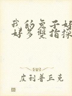 我的兔子好软水好多双指探洞小说