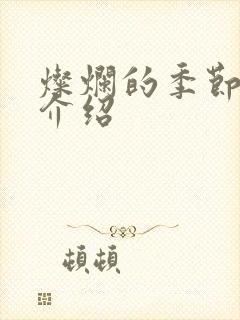 灿烂的季节剧情介绍封面