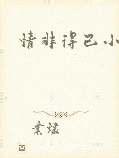 情非得已小说