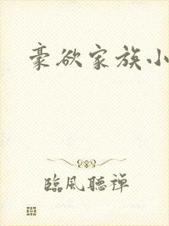 豪欲家族小说