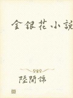 金银花小说乐可