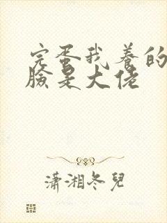 完蛋我养的小白脸是大佬