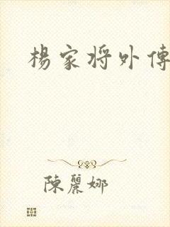 杨家将外传