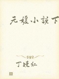 元媛小说下载