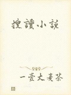 搜读小说封面