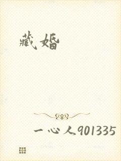 藏婚封面