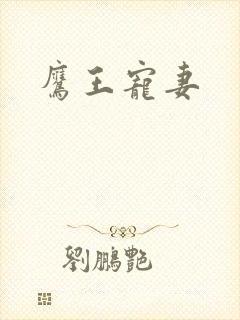 鹰王宠妻