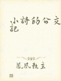 小诗的公交车日记