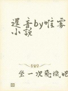 迟音by唯雾的小说