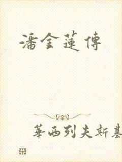 潘金莲传封面