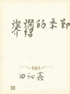 灿烂的季节剧情介绍
