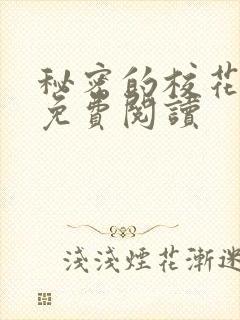 秘密的校花小说免费阅读封面