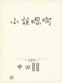 小说嗯啊