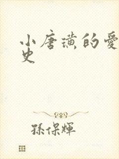 小唐璜的爱情历史封面