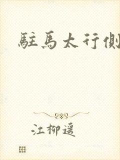 驻马太行侧封面