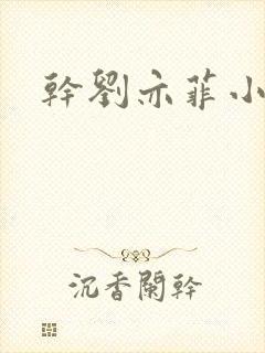 干刘亦菲小说