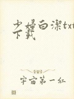 少妇白洁txt下载