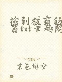捡到校霸的遥控器txt笔趣阁