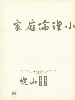 家庭伦理小说封面