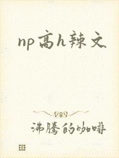 np高h辣文