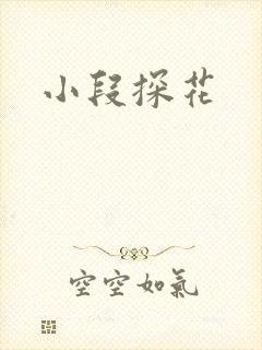 小段探花封面